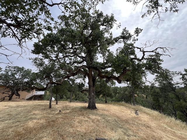 19870 Moose Way, Cottonwood, CA 96022