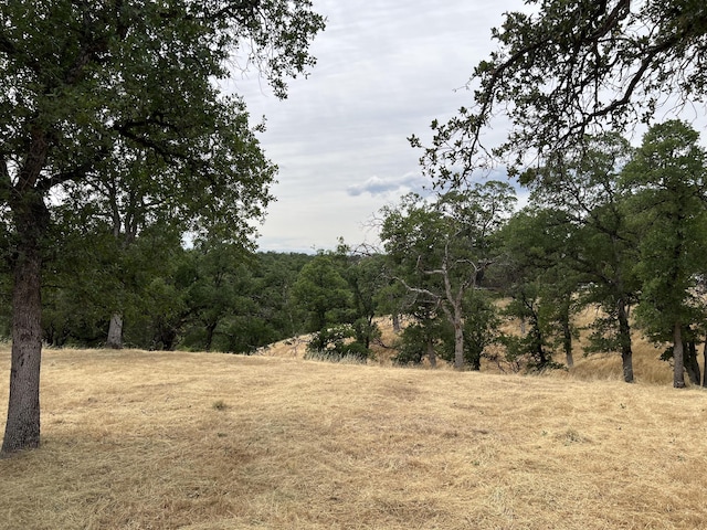 19870 Moose Way, Cottonwood, CA 96022