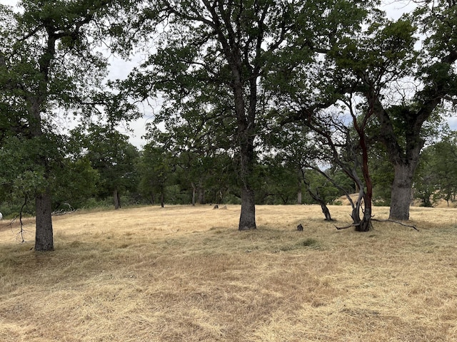 19870 Moose Way, Cottonwood, CA 96022