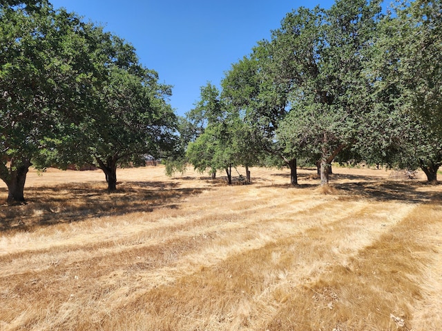245 Walton Ave, Red Bluff, CA 96080