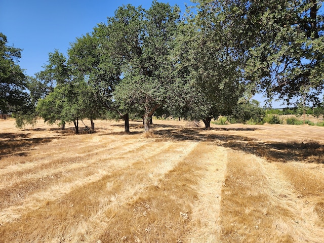 245 Walton Ave, Red Bluff, CA 96080