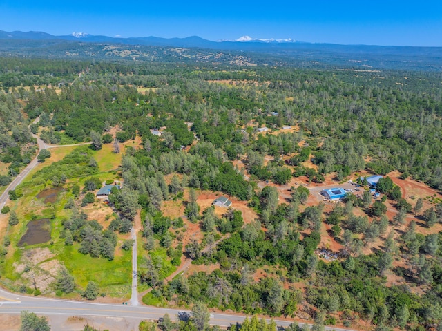 13599 Oak Run Rd, Oak Run, CA 96069 - view of property location featuring a forest and a mountain backdrop