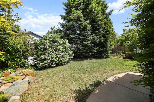 2154 Harvard Way, Redding, CA 96003 - view of yard