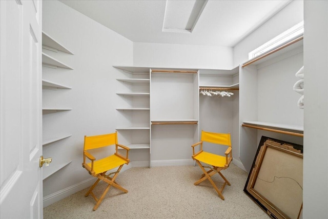 110 Agua Verdi Dr, Red Bluff, CA 96080 - view of spacious closet