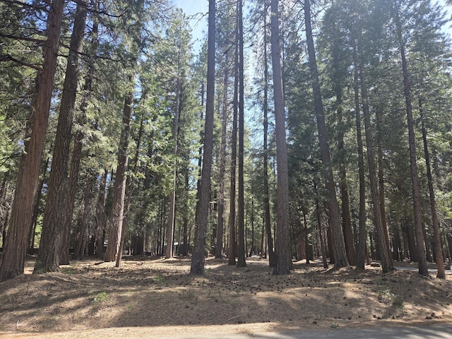 LOT6 Colossians Way, Shingletown, CA 96088