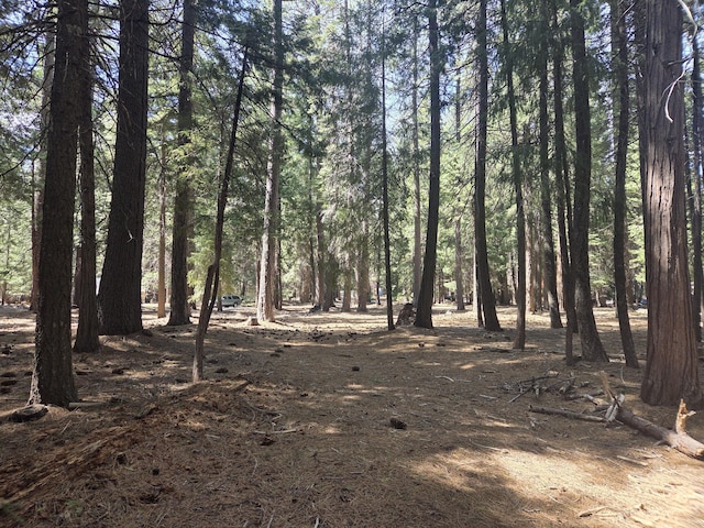 LOT6 Colossians Way, Shingletown, CA 96088