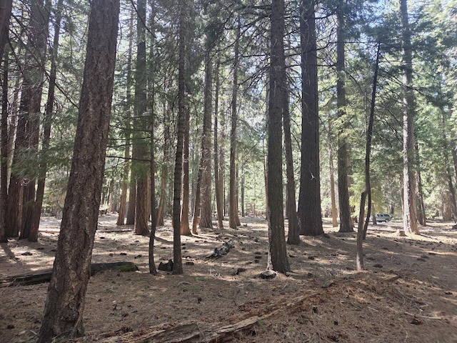 LOT6 Colossians Way, Shingletown, CA 96088