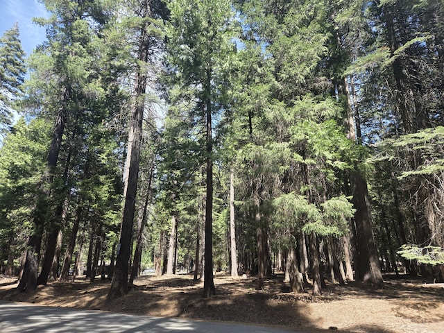 LOT6 Colossians Way, Shingletown, CA 96088