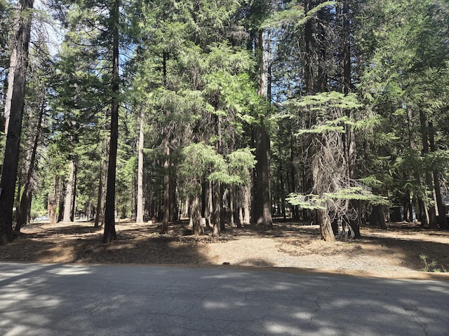 LOT6 Colossians Way, Shingletown, CA 96088