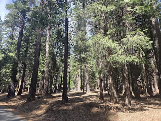 LOT6 Colossians Way, Shingletown, CA 96088