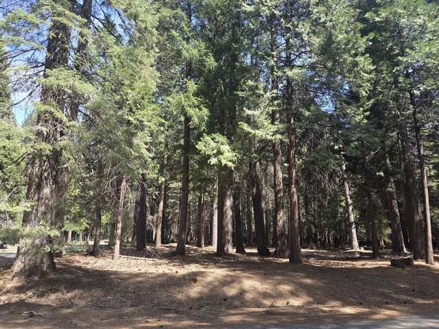 LOT6 Colossians Way, Shingletown, CA 96088