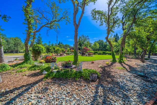 2990 Forest Hills Dr, Redding, CA 96002 - view of green lawn with view of scattered trees