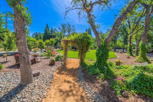 2990 Forest Hills Dr, Redding, CA 96002 - view of green lawn