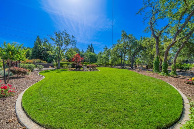 2990 Forest Hills Dr, Redding, CA 96002 - view of yard