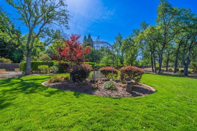 2990 Forest Hills Dr, Redding, CA 96002 - view of yard
