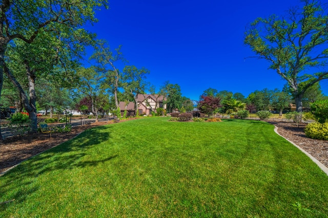 2990 Forest Hills Dr, Redding, CA 96002 - view of grassy yard