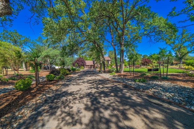 2990 Forest Hills Dr, Redding, CA 96002 - view of asphalt driveway