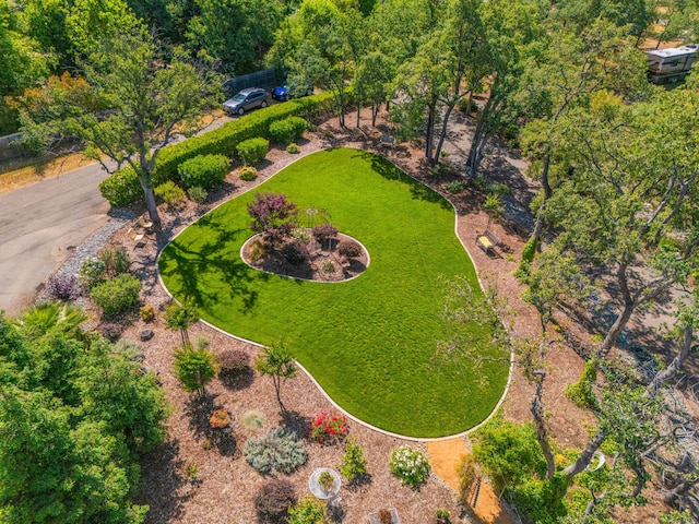 2990 Forest Hills Dr, Redding, CA 96002 - bird's eye view