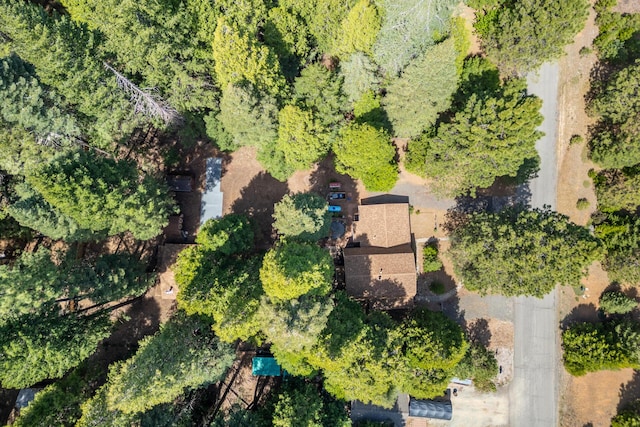 35267 Nehemiah Dr, Shingletown, CA 96088 - bird's eye view