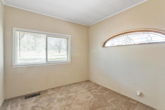 27339 Hobart Rd, Shingletown, CA 96088 - spare room with carpet floors, plenty of natural light, and ornamental molding