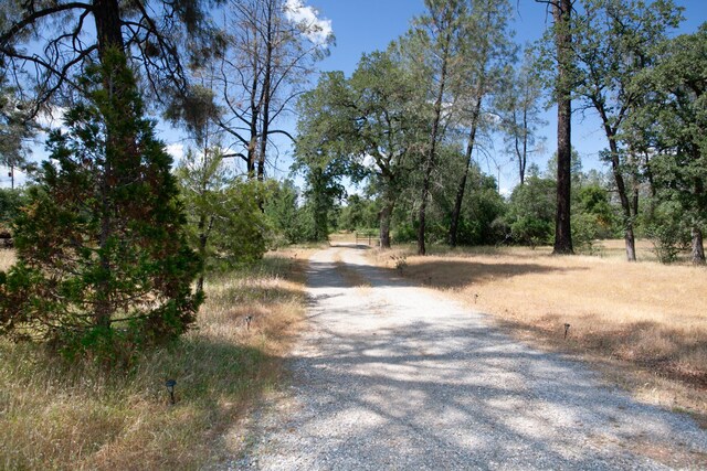 27339 Hobart Rd, Shingletown, CA 96088 - view of dirt / gravel road