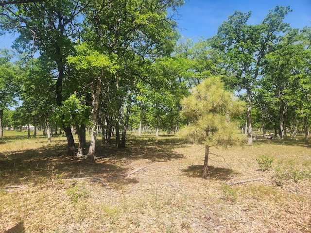 4552-525 James Dr, Mcarthur CA, 96056 land for sale