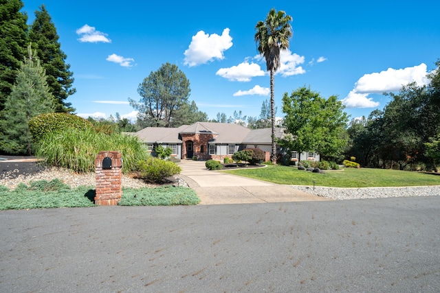 ranch-style house with a front lawn