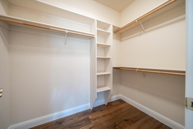 walk in closet with dark wood-style floors