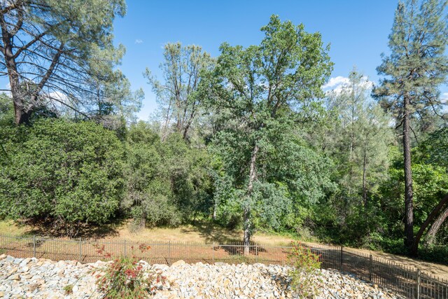 view of local wilderness