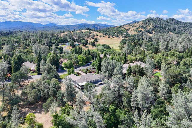 bird's eye view of a heavily wooded area and a mountain backdrop