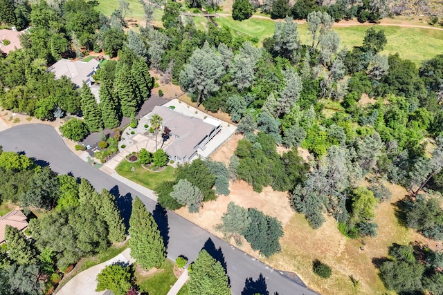 bird's eye view