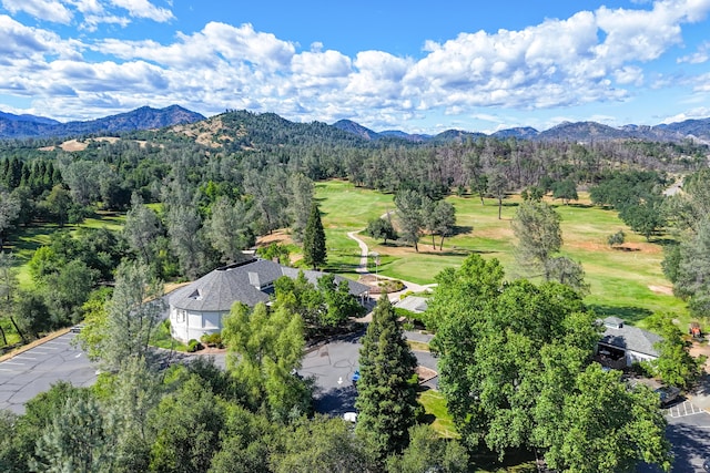 bird's eye view of a mountain backdrop and a forest