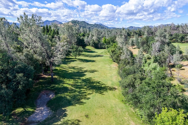 bird's eye view of a mountainous background and a forest