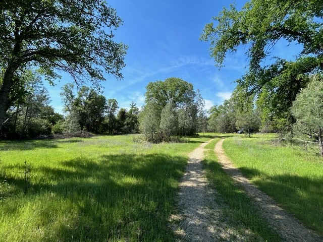 Singing Trees, Cottonwood, CA 96022
