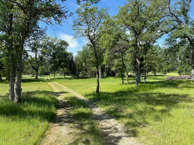 Singing Trees, Cottonwood, CA 96022