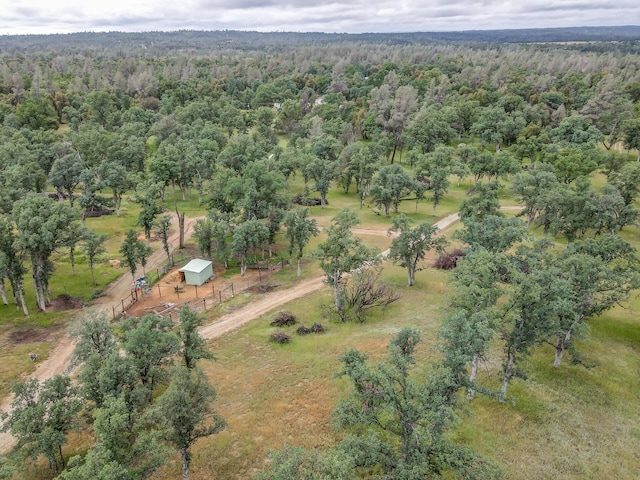Singing Trees, Cottonwood, CA 96022