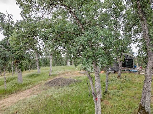 Singing Trees, Cottonwood, CA 96022