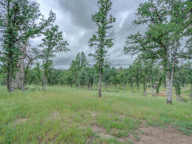 Singing Trees, Cottonwood, CA 96022