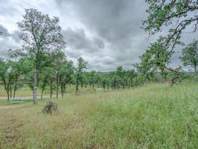 Singing Trees, Cottonwood, CA 96022