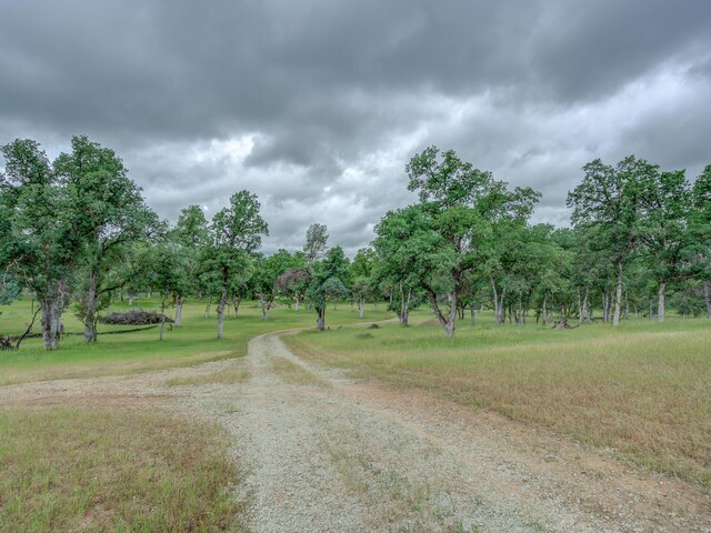 Singing Trees, Cottonwood, CA 96022