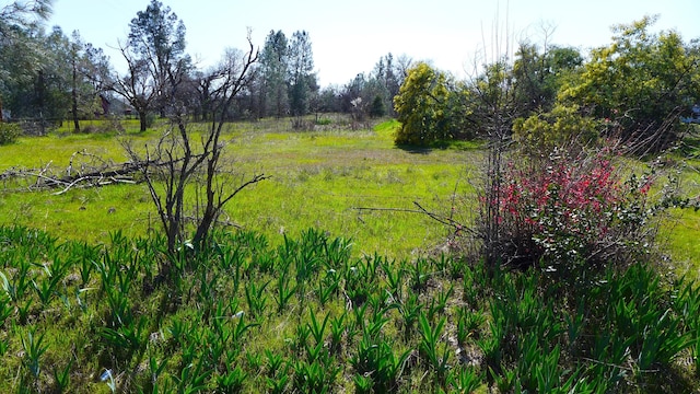 17435 Lassen Ave, Anderson, CA 96007
