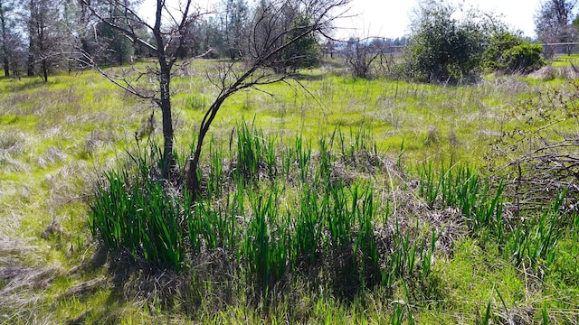 17435 Lassen Ave, Anderson, CA 96007
