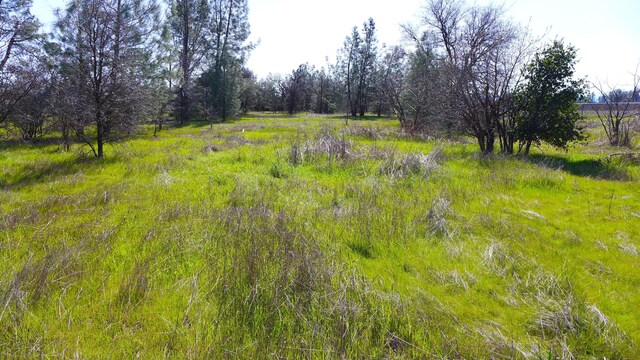 17435 Lassen Ave, Anderson, CA 96007