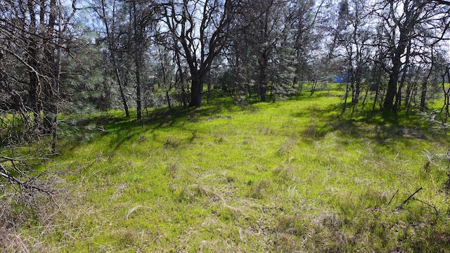 17435 Lassen Ave, Anderson, CA 96007