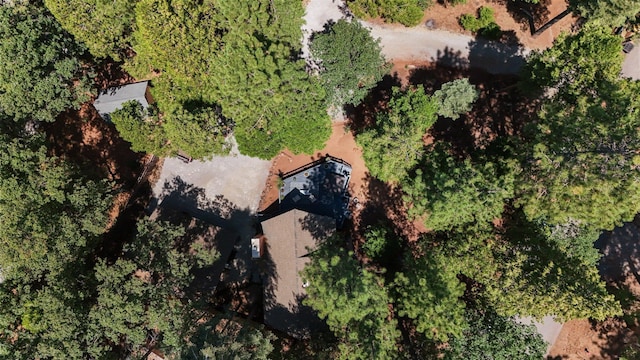 30681 Sleepy Hollow Dr, Shingletown, CA 96088 - aerial view of property and surrounding area