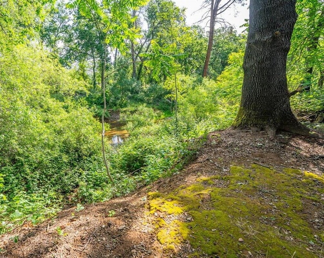 507 Olympic St, Redding, CA 96003 - view of nature