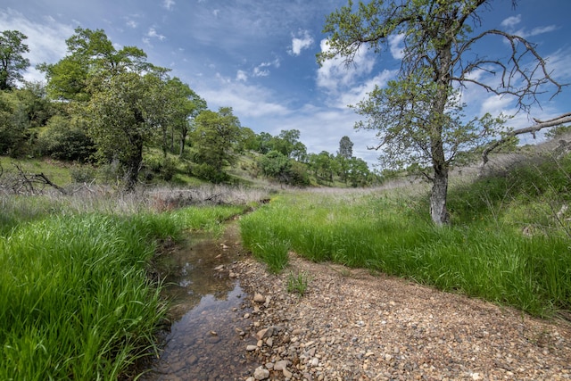 4684 Oak Glen Dr, Redding, CA 96001 - view of nature