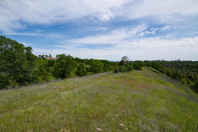 4684 Oak Glen Dr, Redding, CA 96001 - view of tree filled area