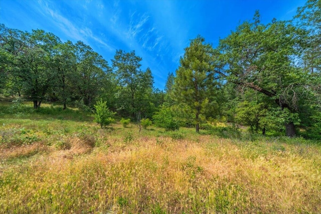 17171 Flanagan Rd, Redding, CA 96003 - view of wooded area