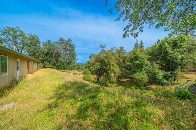 17171 Flanagan Rd, Redding, CA 96003 - view of yard